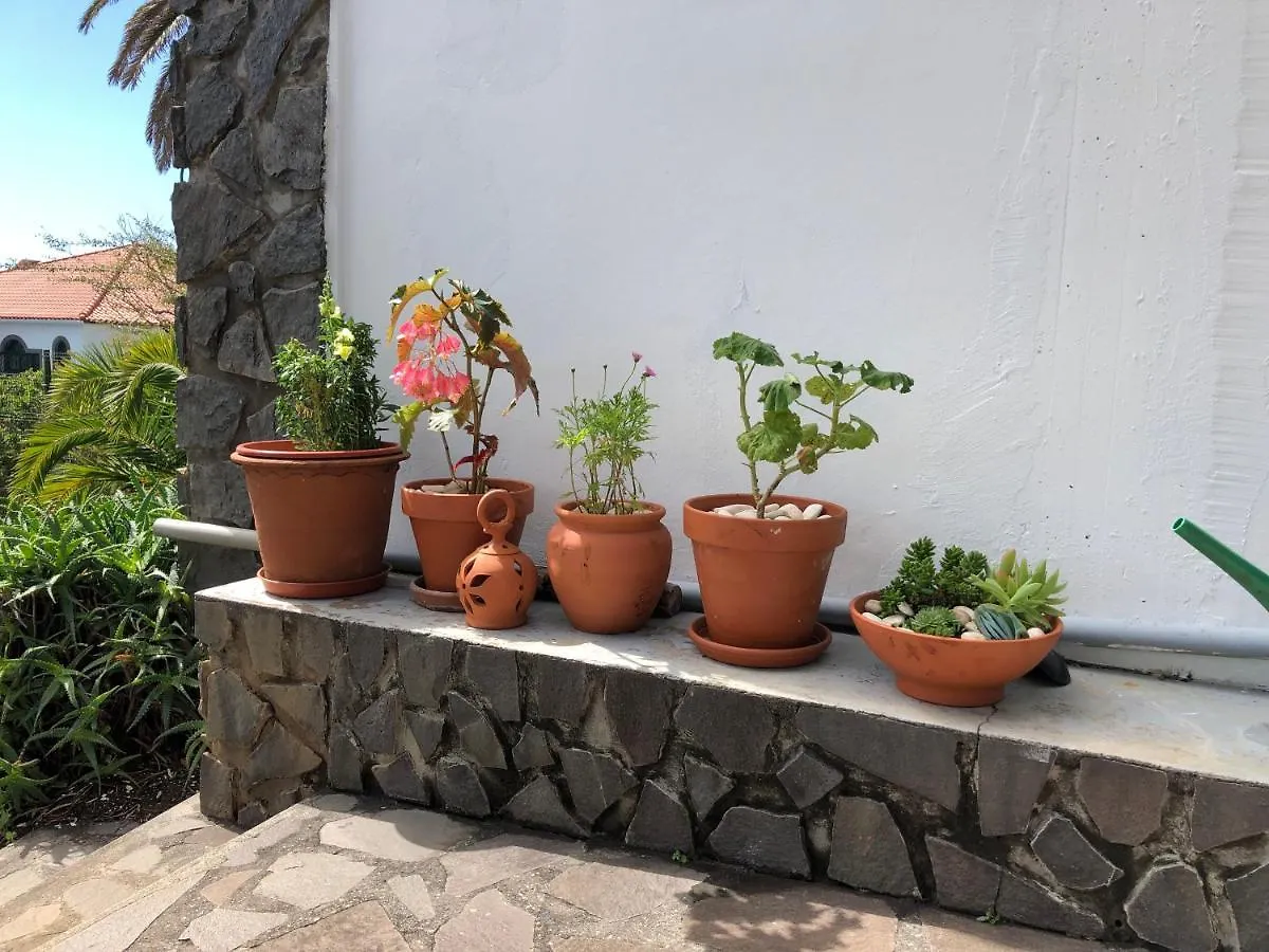 Casa Palmeira - Ferienhaus Mit Meerblick Canico  Portugal