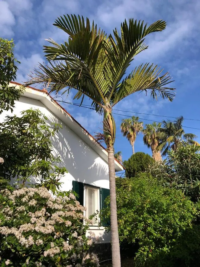 Casa Palmeira - Ferienhaus Mit Meerblick Canico  Holiday home