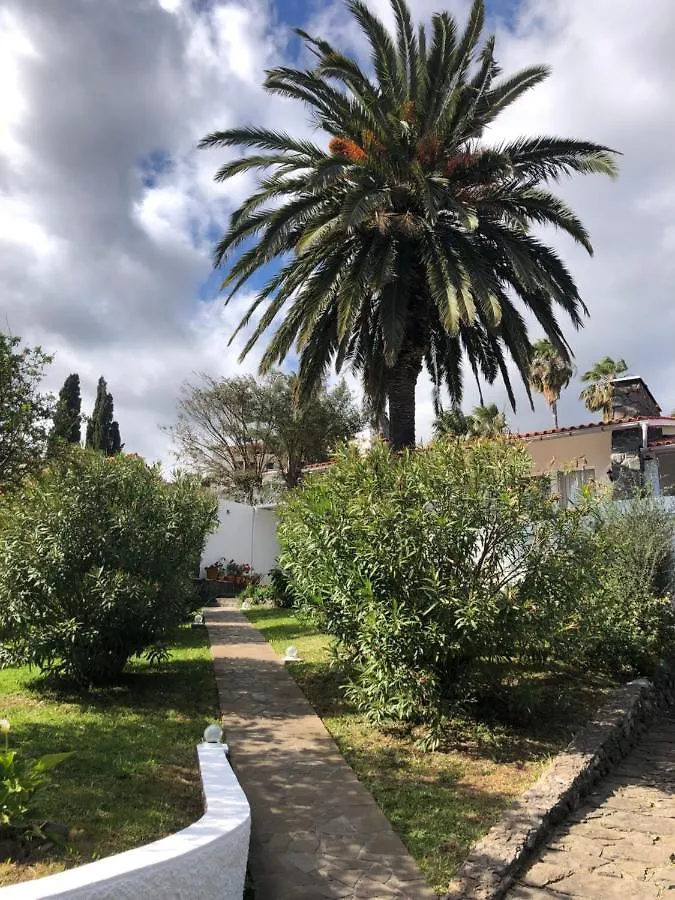 Casa Palmeira - Ferienhaus Mit Meerblick Canico  Canico (Madeira)